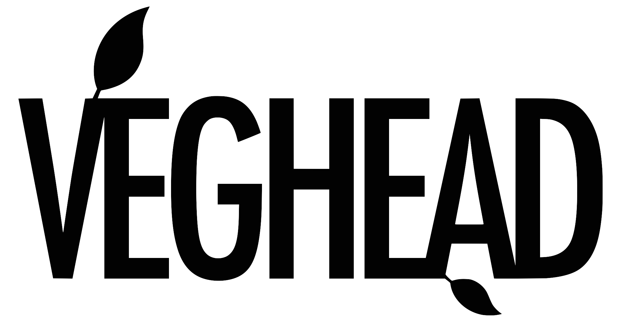 veghead logo